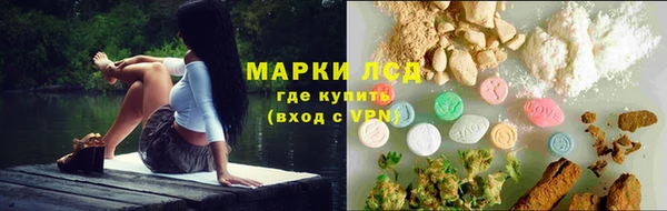 шишки Вязьма