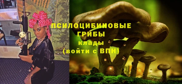 тгк Вязники